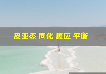 皮亚杰 同化 顺应 平衡